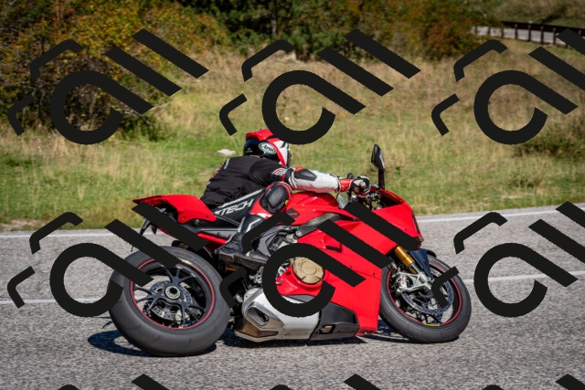 202509061116-DSC_0332_c2