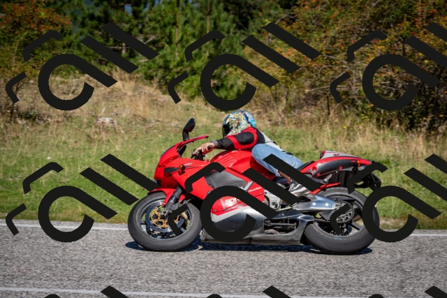 202509061116-DSC_0337_c2