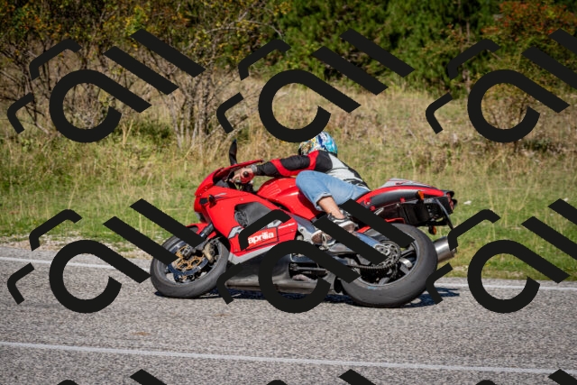 202509061116-DSC_0338_c2