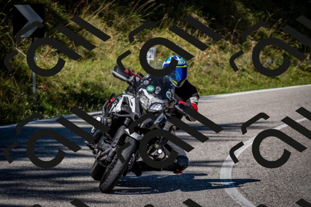 202509061116-DSC_0345_c2