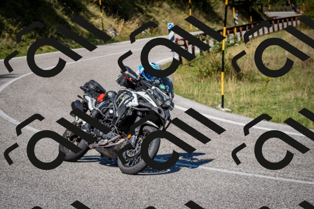 202509061116-DSC_0346_c2