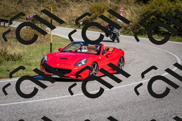 202509061119-DSC_0368_c2