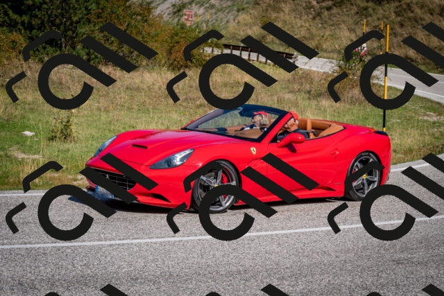 202509061119-DSC_0369_c2