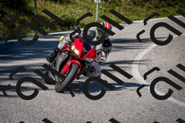 202509061119-DSC_0373_c2