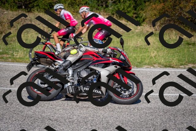 202509061119-DSC_0375_c2