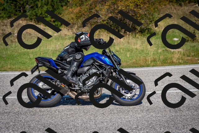 202509061119-DSC_0378_c2