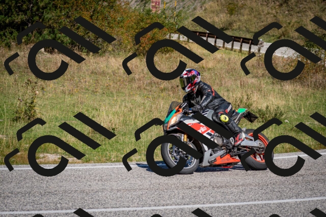 202509061120-DSC_0387_c2