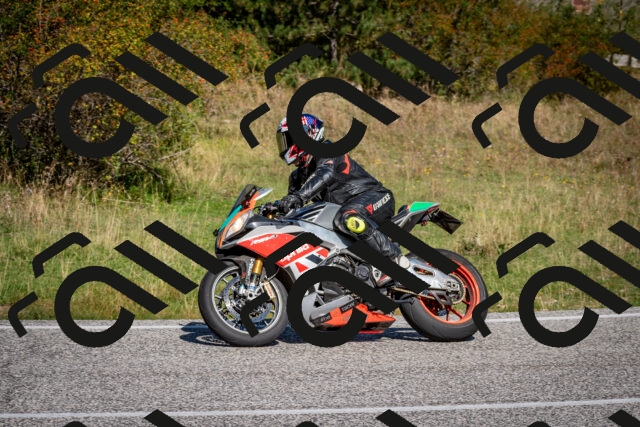 202509061120-DSC_0388_c2