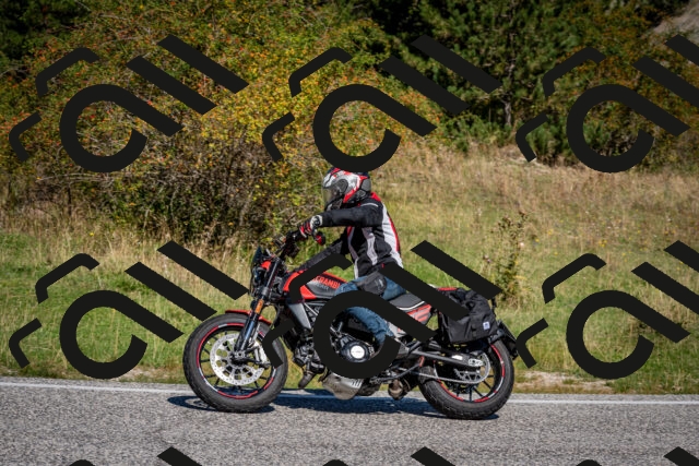 202509061121-DSC_0407_c2