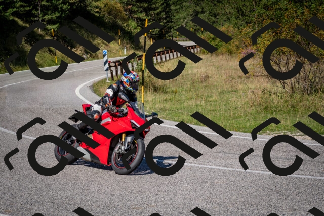 202509061122-DSC_0413_c2