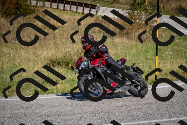 202509061122-DSC_0417_c2