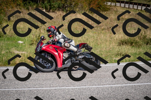 202509061122-DSC_0419_c2