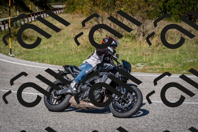 202509061127-DSC_0463_c2