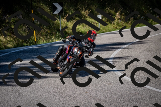 202509061127-DSC_0467_c2