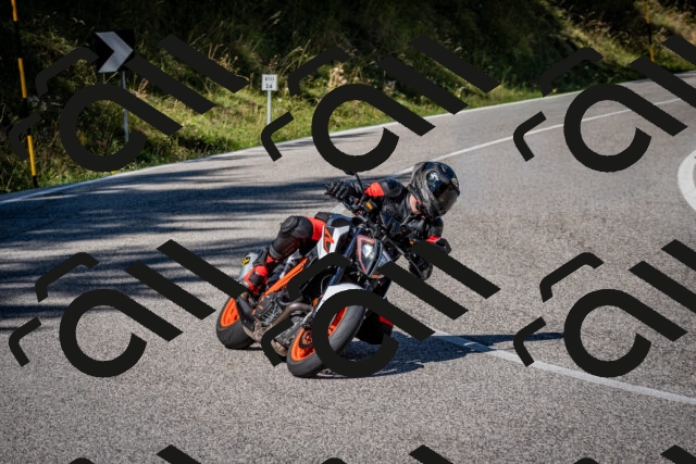 202509061127-DSC_0484_c2