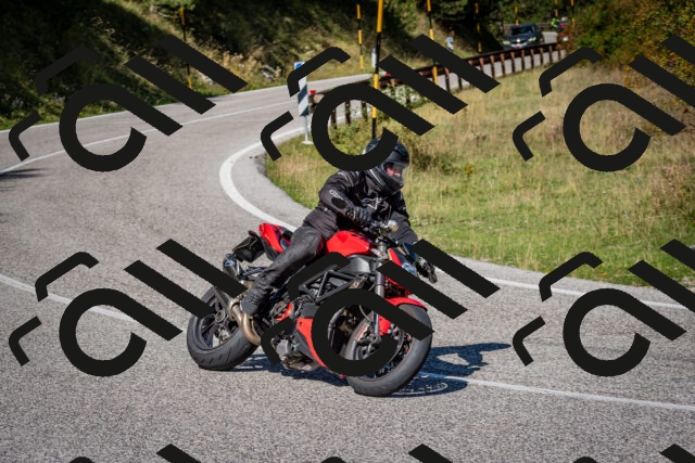 202509061127-DSC_0489_c2