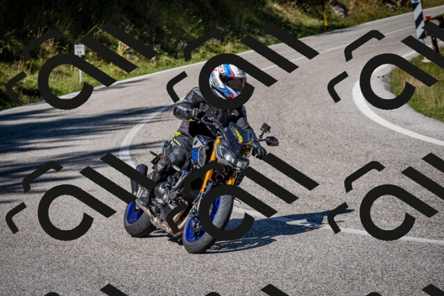 202509061128-DSC_0494_c2