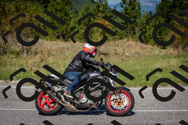 202509061129-DSC_0510_c2