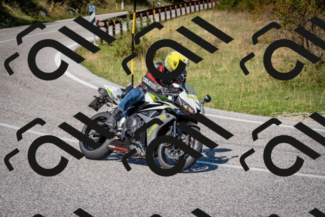 202509061130-DSC_0516_c2