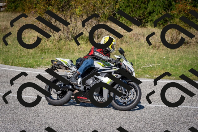 202509061130-DSC_0517_c2