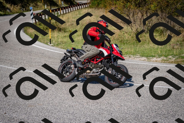 202509061130-DSC_0518_c2