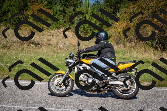 202509061130-DSC_0525_c2