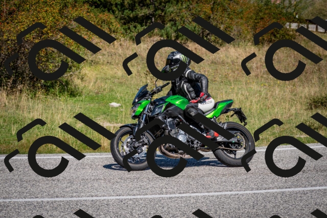 202509061132-DSC_0533_c2