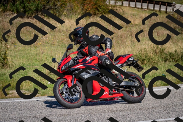 202509061132-DSC_0534_c2