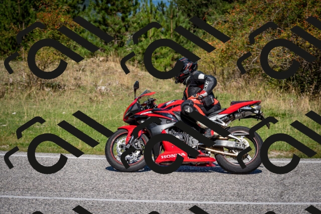 202509061132-DSC_0535_c2