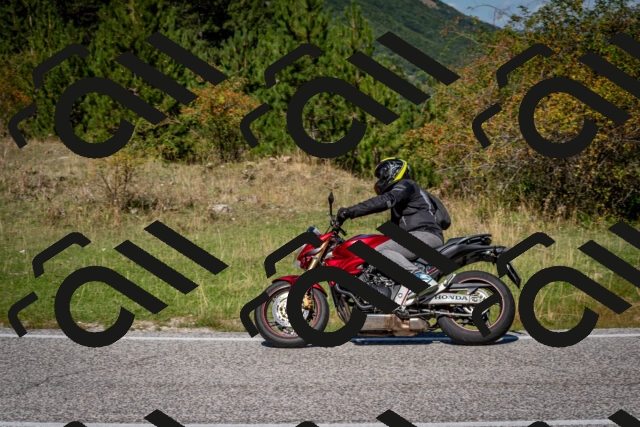 202509061134-DSC_0549_c2