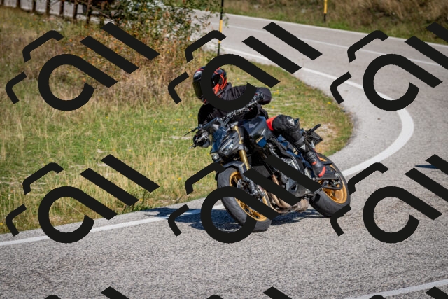 202509061134-DSC_0550_c2