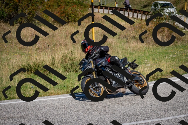 202509061134-DSC_0551_c2