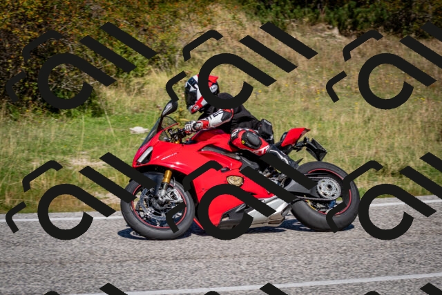 202509061134-DSC_0558_c2