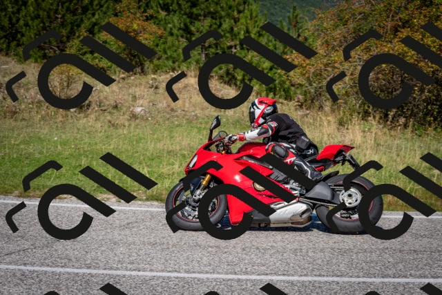 202509061134-DSC_0559_c2