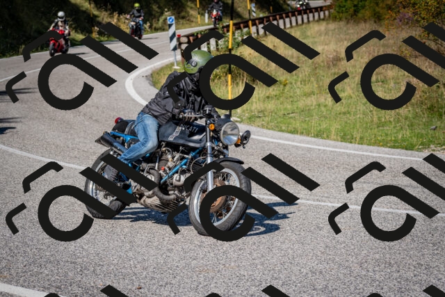 202509061137-DSC_0583_c2