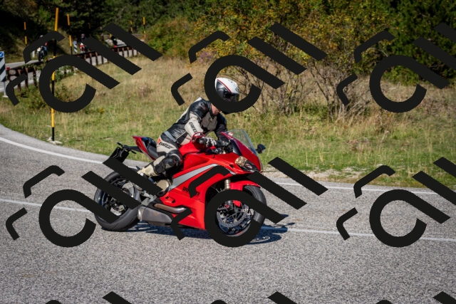 202509061137-DSC_0588_c2