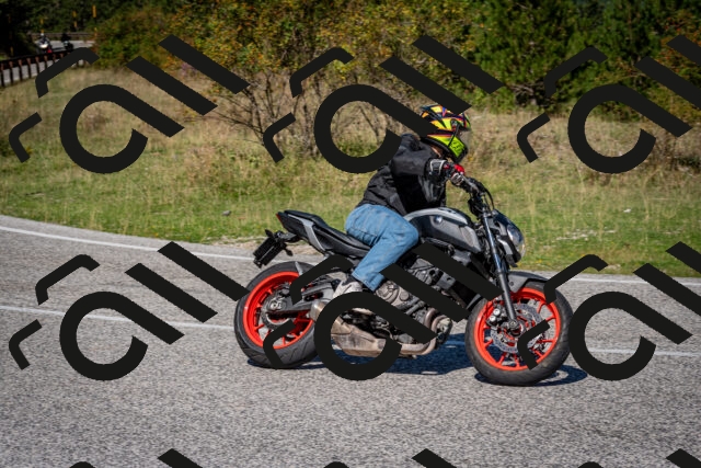 202509061137-DSC_0590_c2