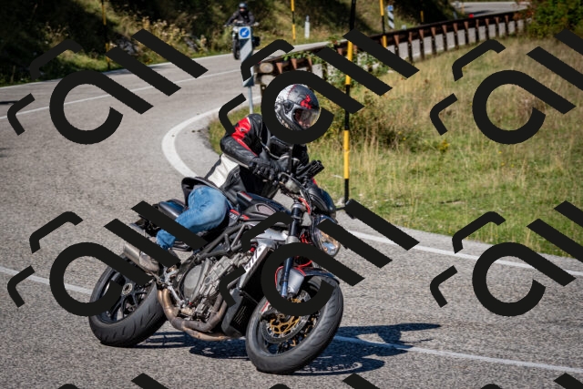 202509061137-DSC_0597_c2