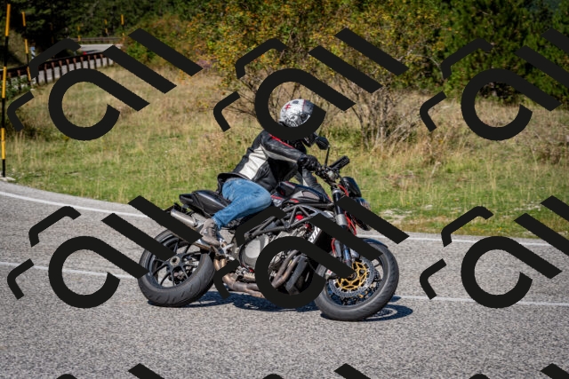 202509061137-DSC_0598_c2