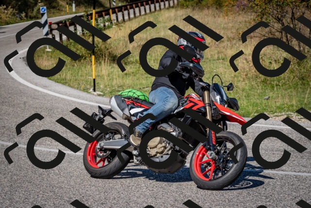 202509061137-DSC_0599_c2