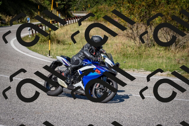 202509061137-DSC_0603_c2