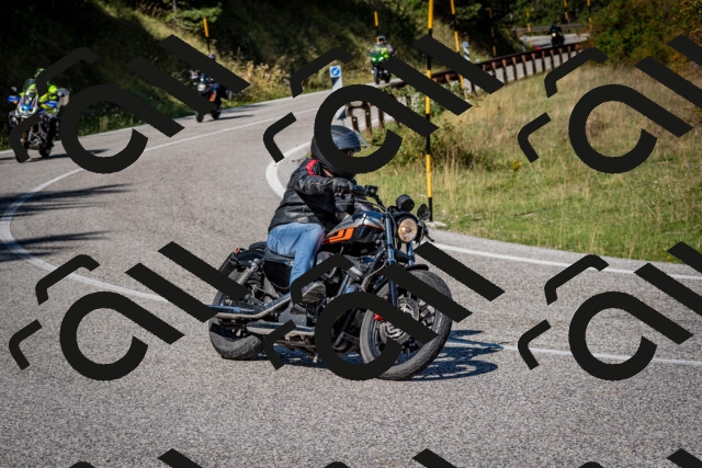 202509061138-DSC_0615_c2