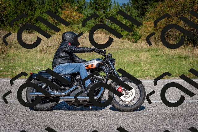 202509061138-DSC_0616_c2