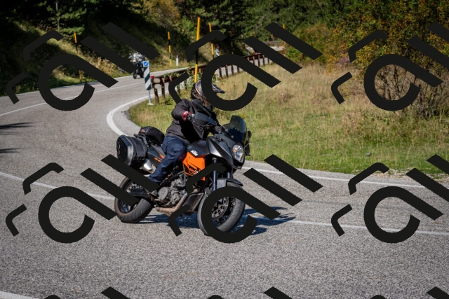 202509061138-DSC_0619_c2