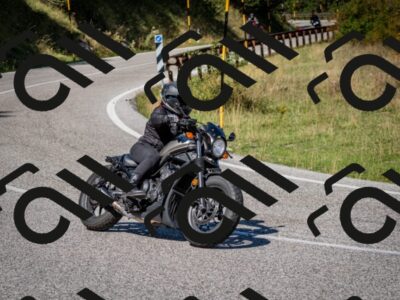 202509061138-DSC_0630_c2