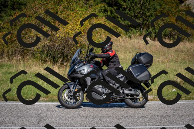 202509061140-DSC_0650_c2