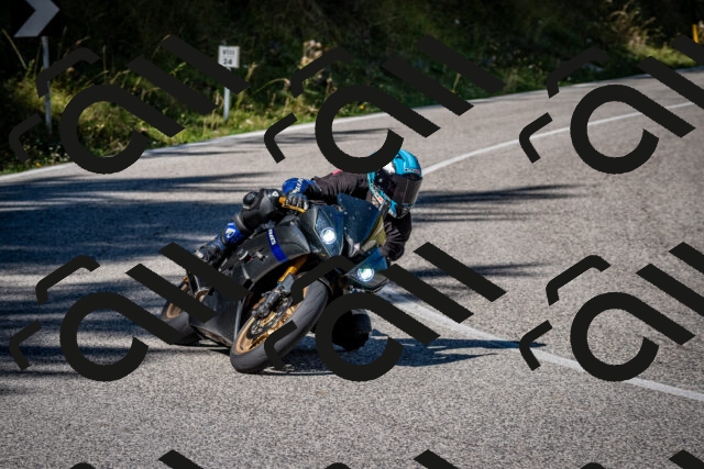 202509061141-DSC_0654_c2