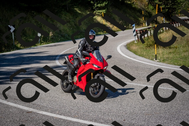 202509061146-DSC_0689_c2