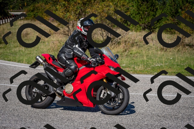 202509061146-DSC_0690_c2