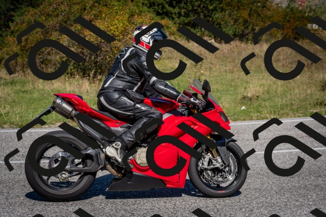 202509061146-DSC_0691_c2